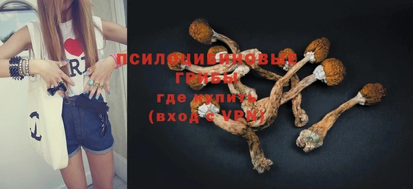 ешки Каменка