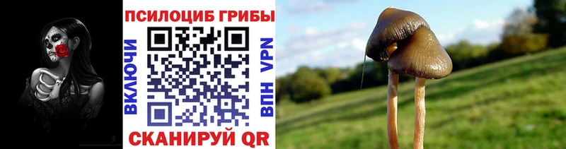 Купить  Железногорск-Илимский  Галлюциногенные грибы мухоморы 
